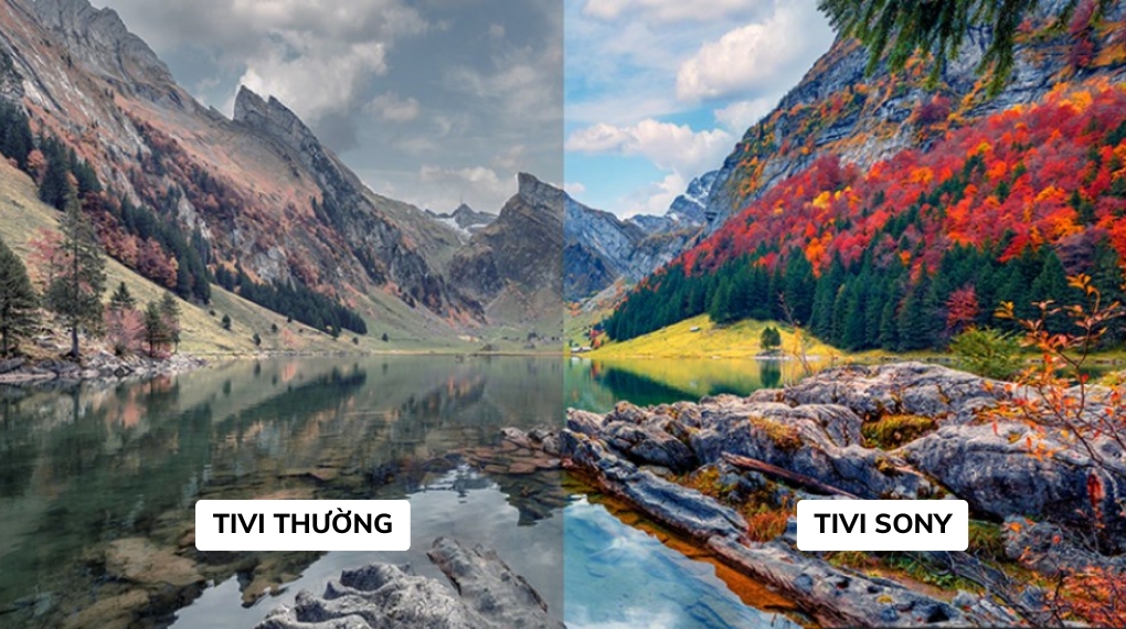 Tính năng hình ảnh của tivi QLED